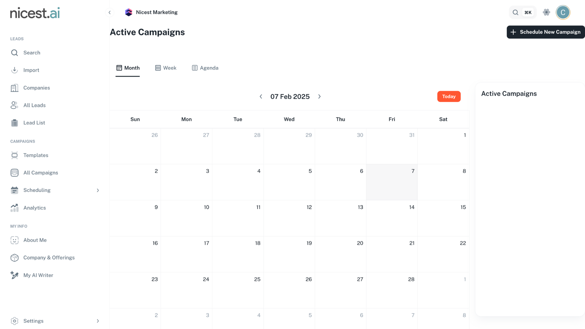 Screenshot of the View Active Campaigns section with the Month, Week, and Agenda view options