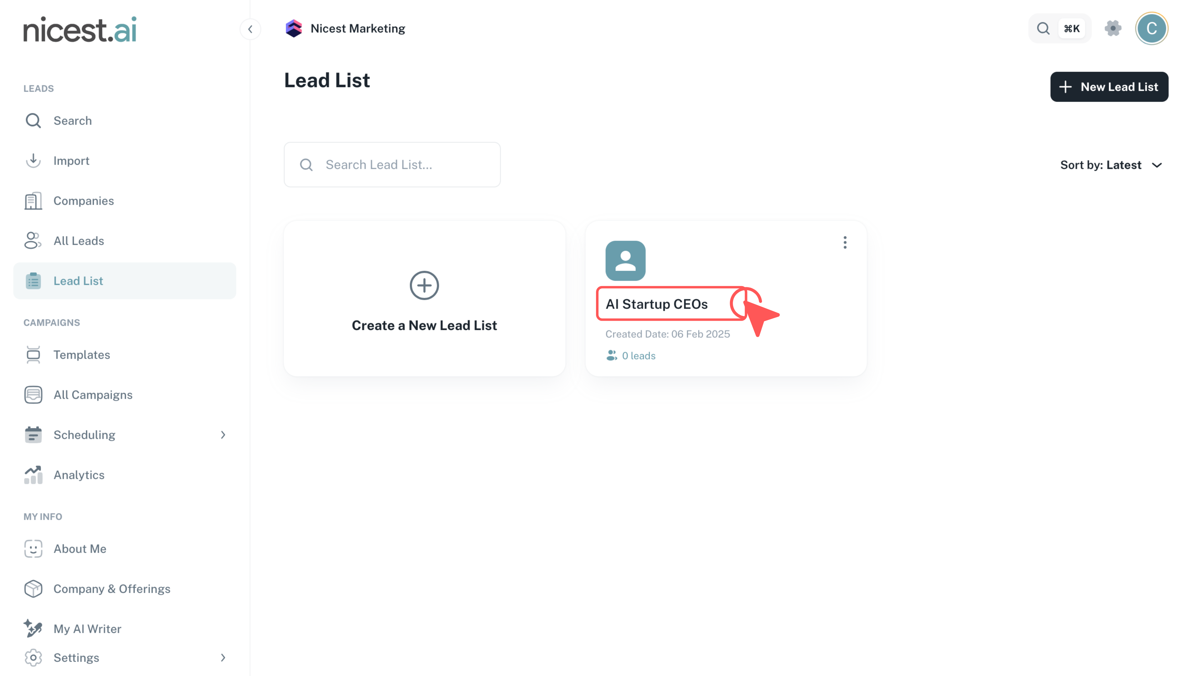 Screenshot of an Opened Lead List